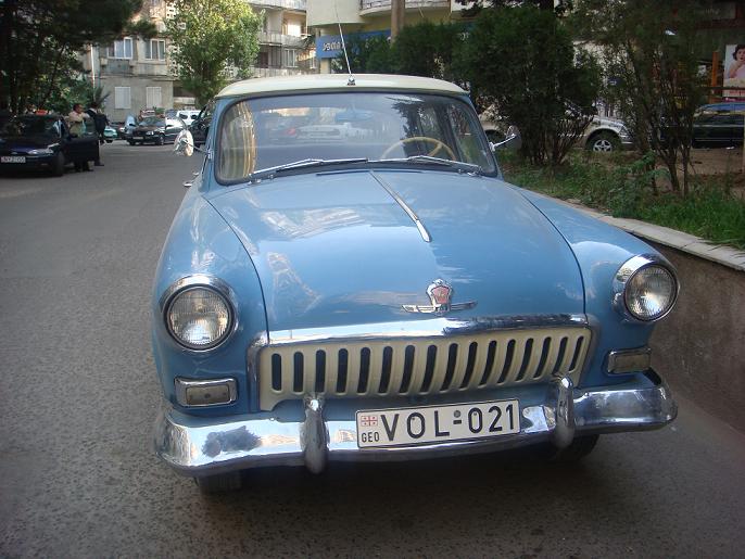 kote_volga.JPG