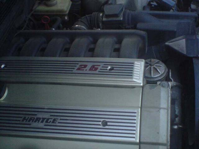 09261_3.jpg
