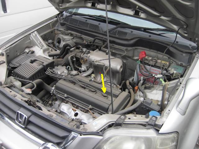1123089_4.jpg