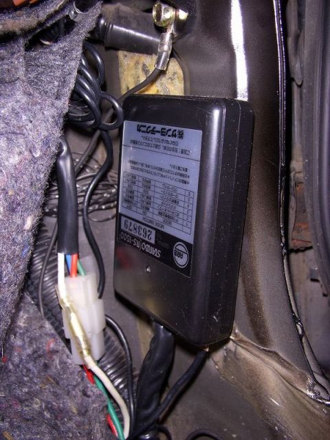 p1.jpg