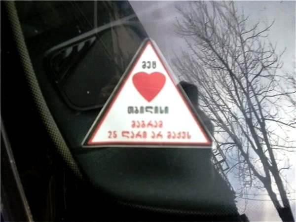 mec_miyvars_tbilisi.jpg