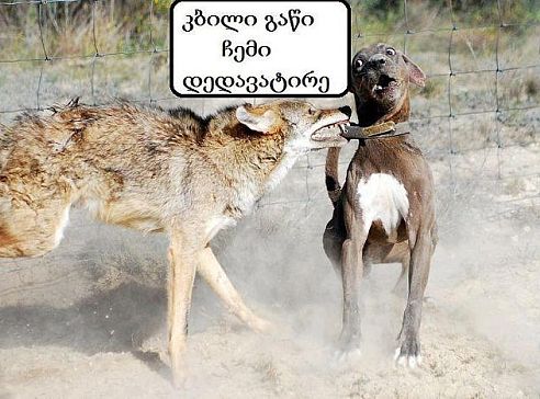 getImage.jpg