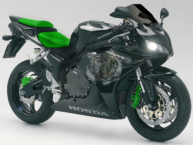 2006cbr1000rr42copycopyog7.jpg