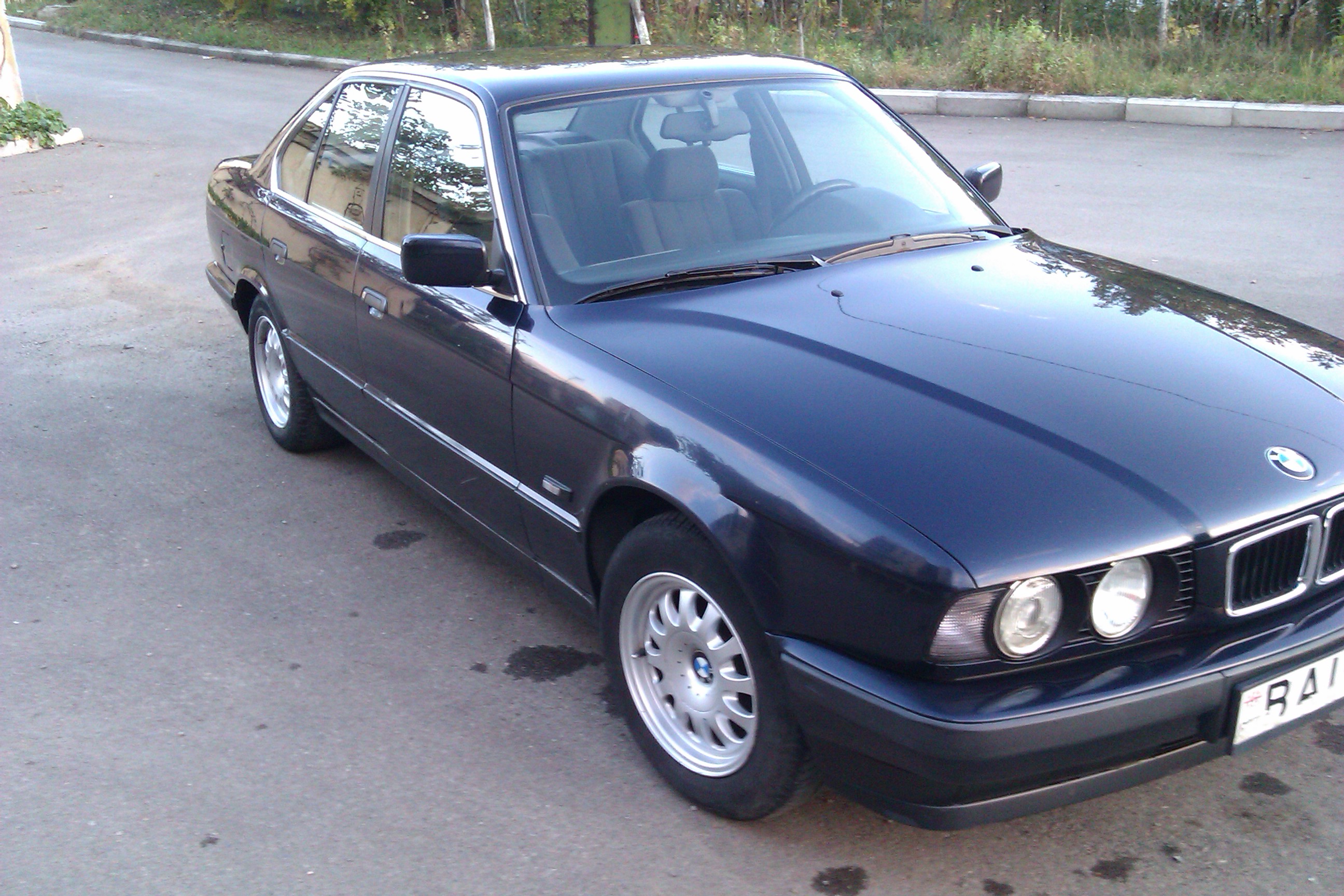IMAG0624.jpg