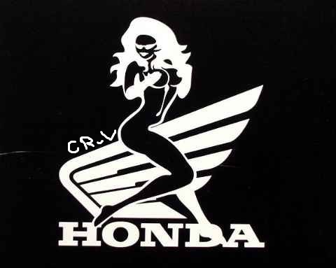 honda___Copy___Copy.jpg