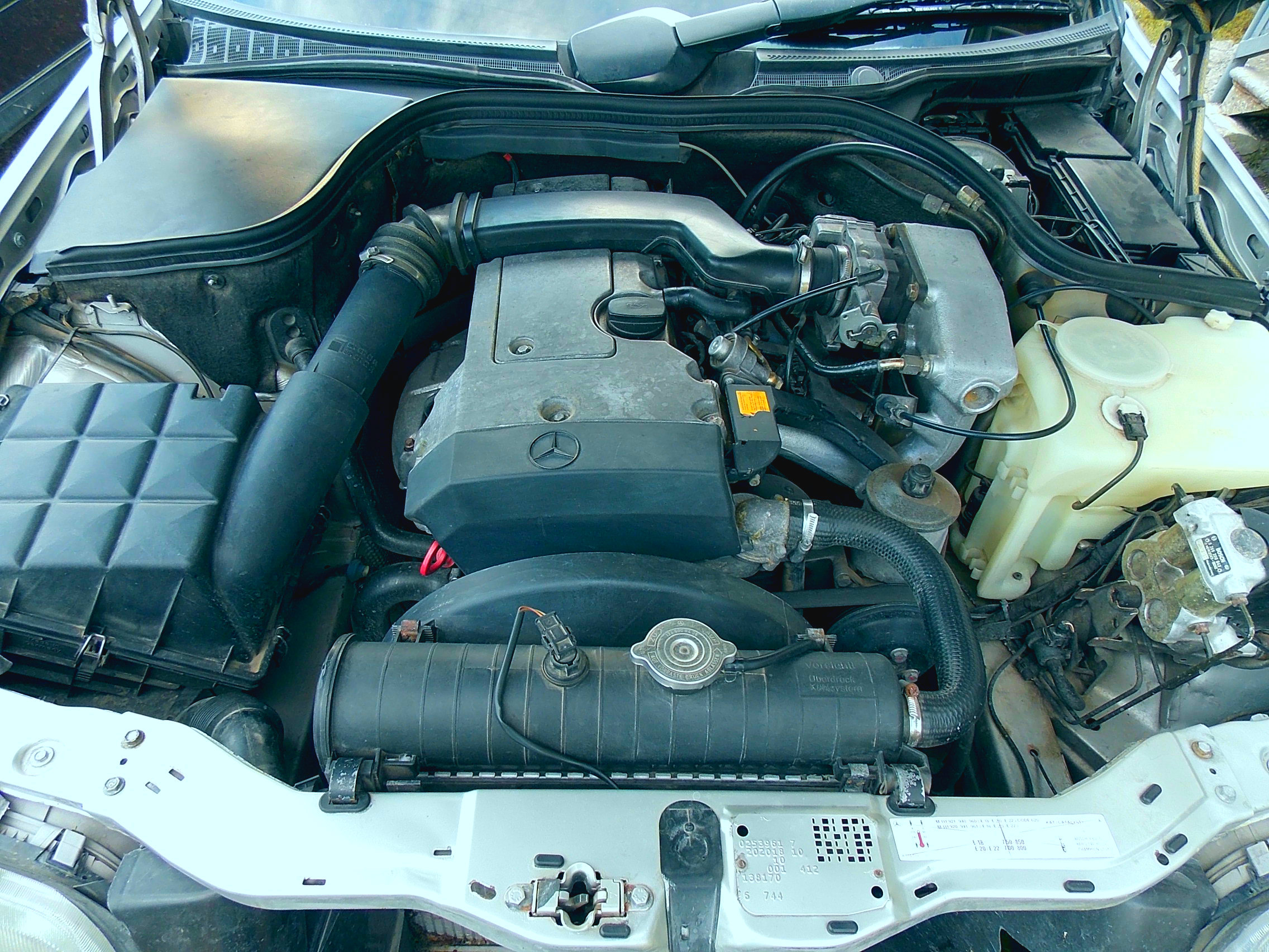 DSCN1680.JPG