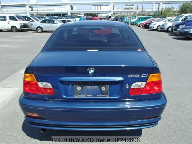 BF242806_4.jpg