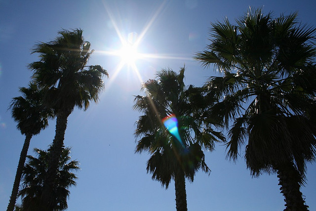sunny_day.jpg