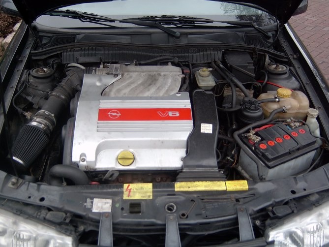 da6cf48s_960.jpg