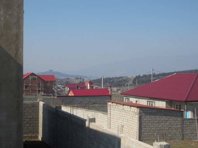 IMG_8117__Small_.JPG
