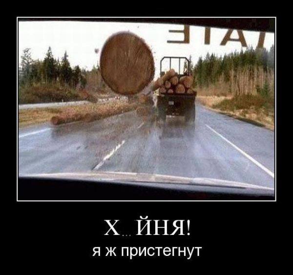 11018654_877960978912779_4001584086706472805_n.jpg