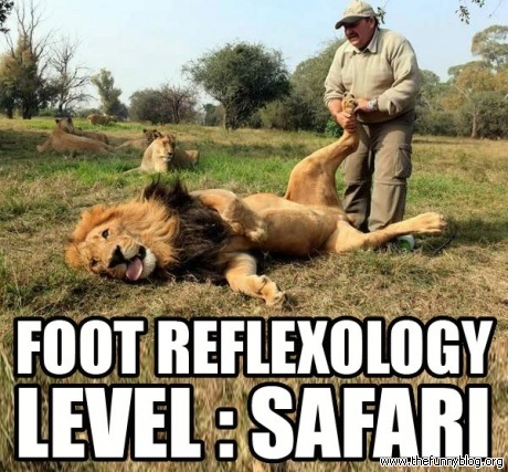foot_reflexology_level_safari_funny_lion.png