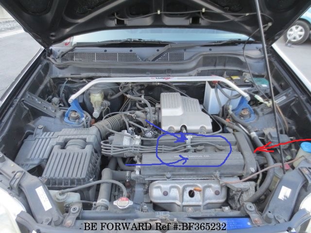 BF365232_15e80b___Copy.jpg