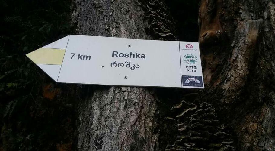 2015_06_10_07.28.17.jpg