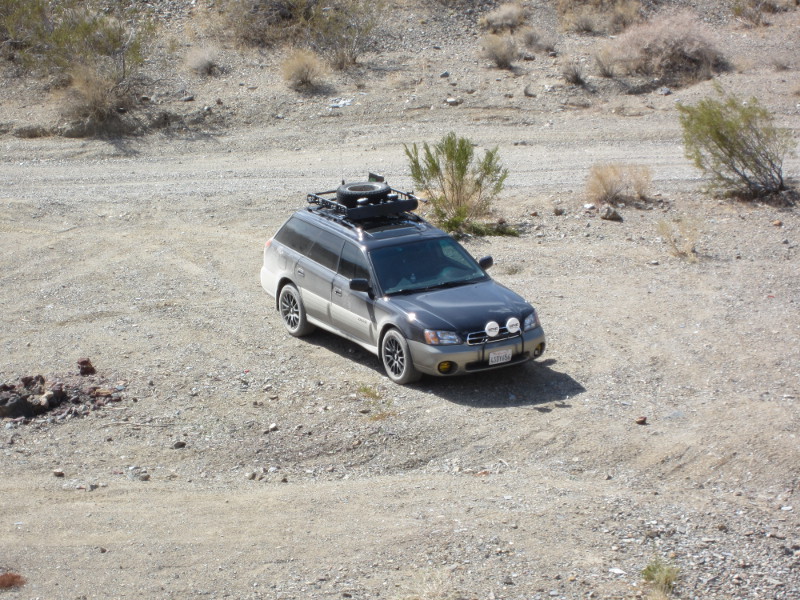 IMG_0883_800x600.jpg