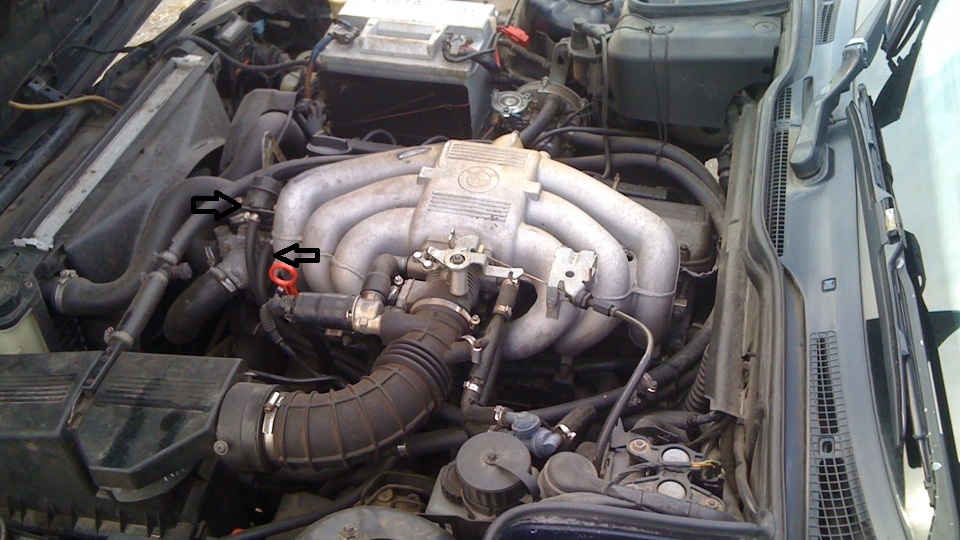 5f5b0cu_960.jpg