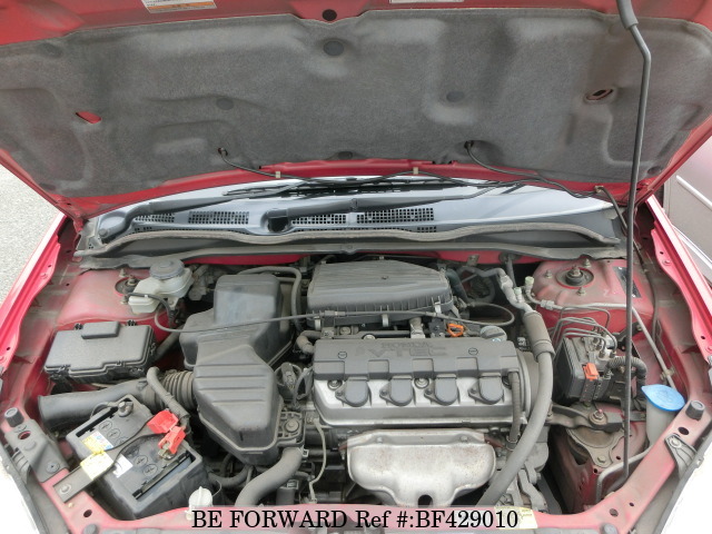 BF429010_240c1e.jpg