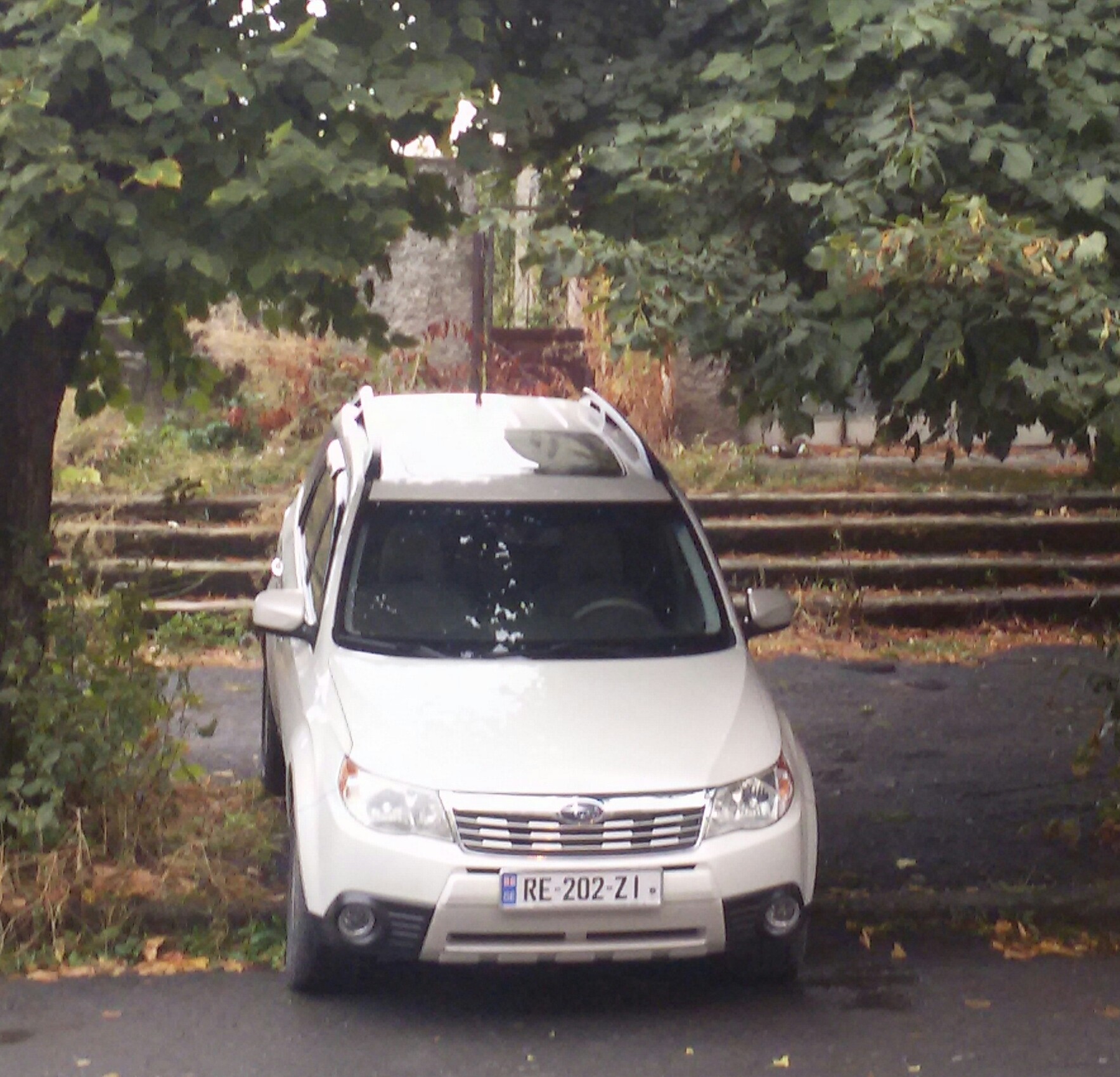 20151005_092716_2.jpg