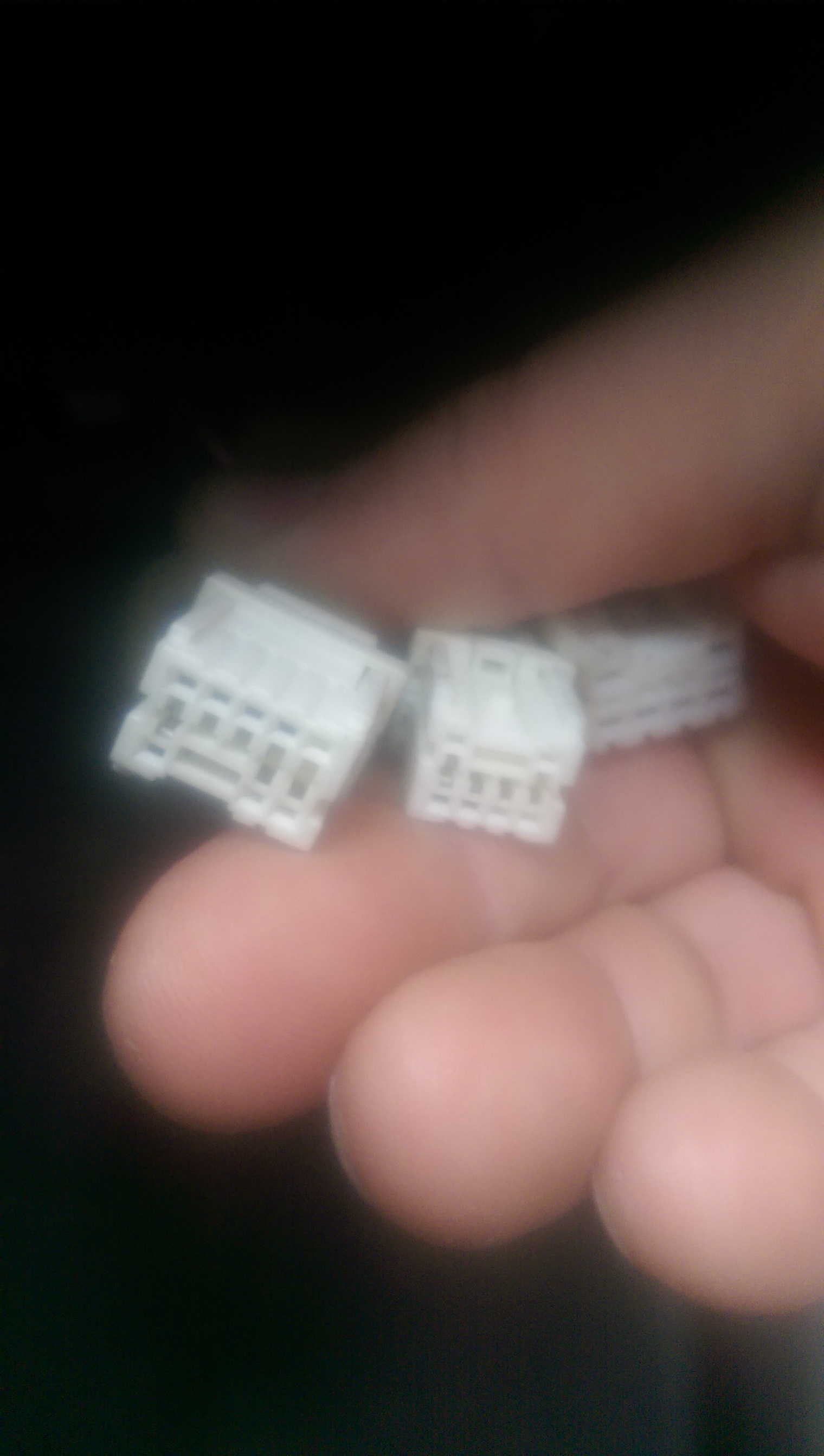 IMAG0387.jpg