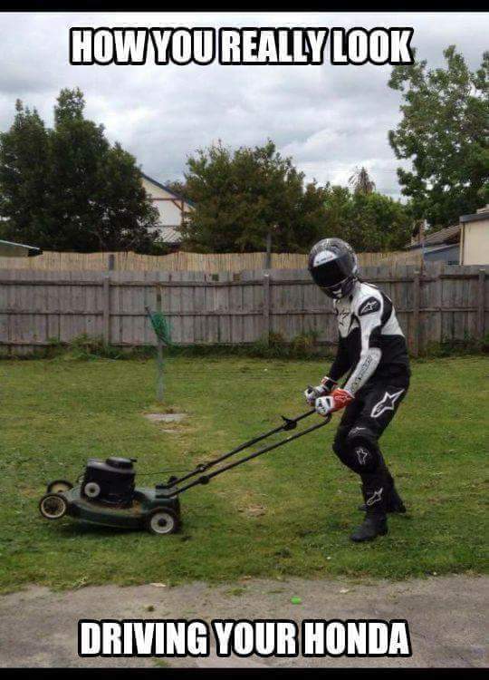 FB_IMG_1451041901762.jpg