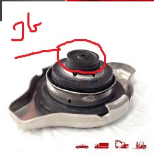 moatexx.jpg