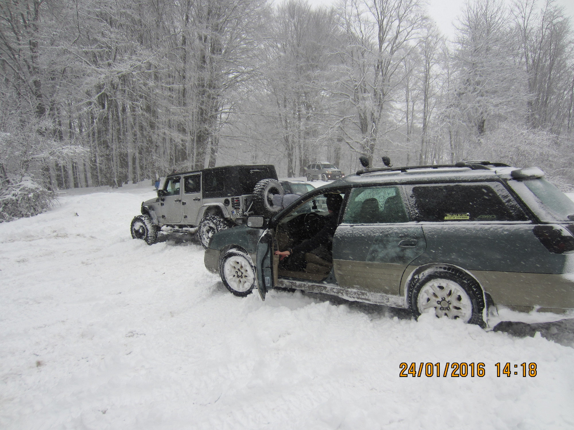 img_0080__2_.jpg
