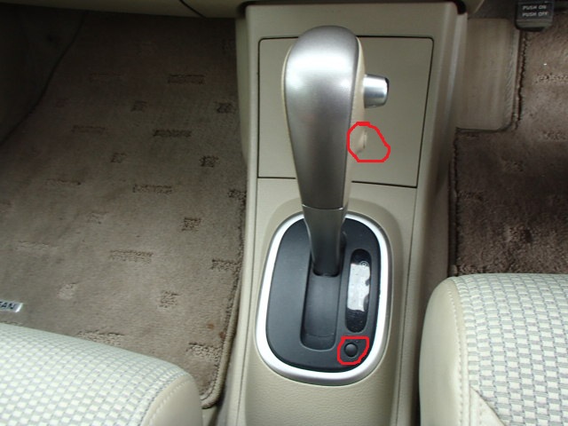 69104_21.jpg