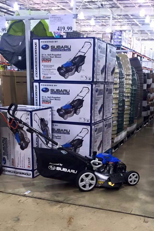 946194_977822148919863_5337869672887484658_n.jpg