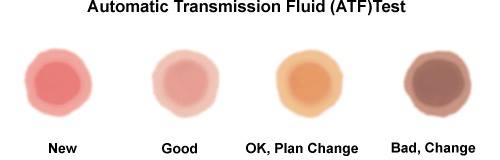 transmission_fluid.jpg