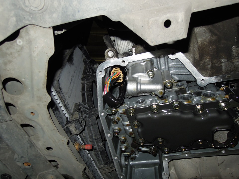 8222feas_960.jpg