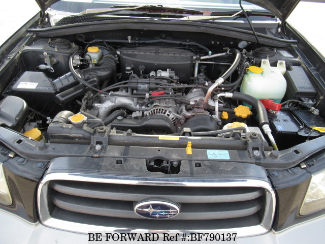 BF790137_e2b563.jpg