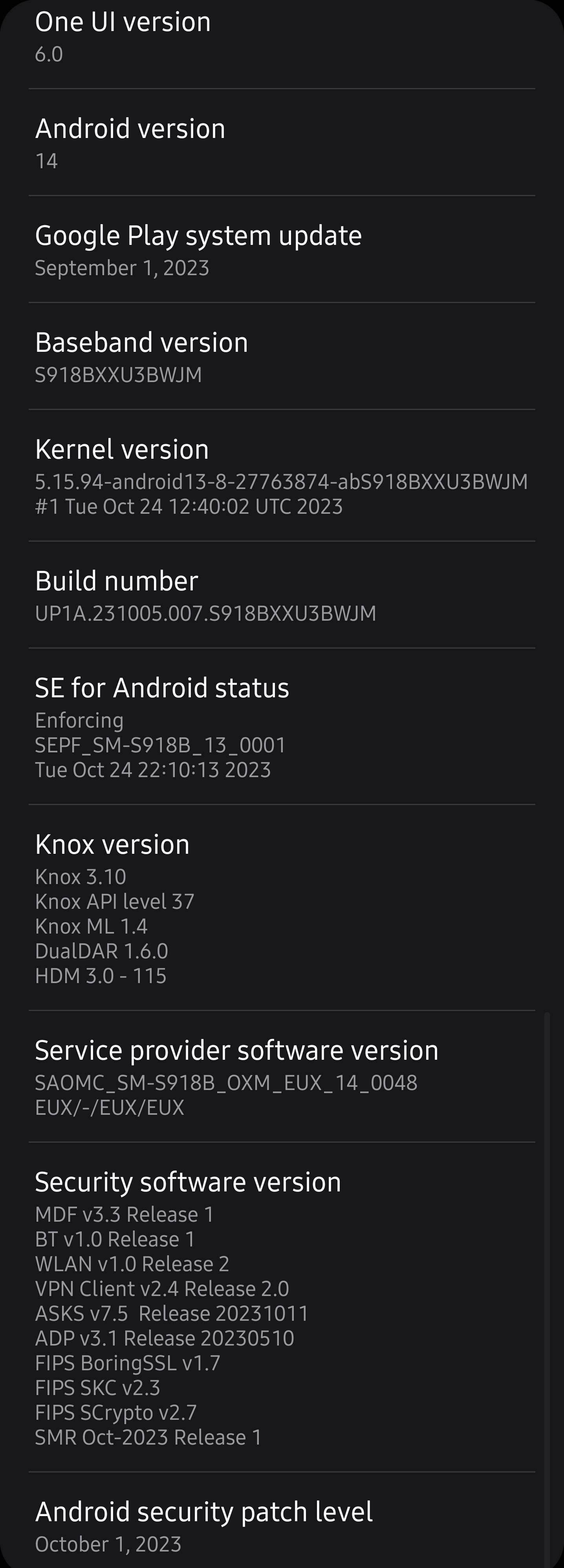 Screenshot_20231030_174323_Settings.jpg