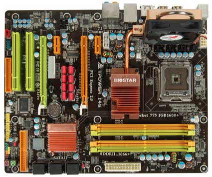 Biostar_TPOWER_I45_1_.jpg