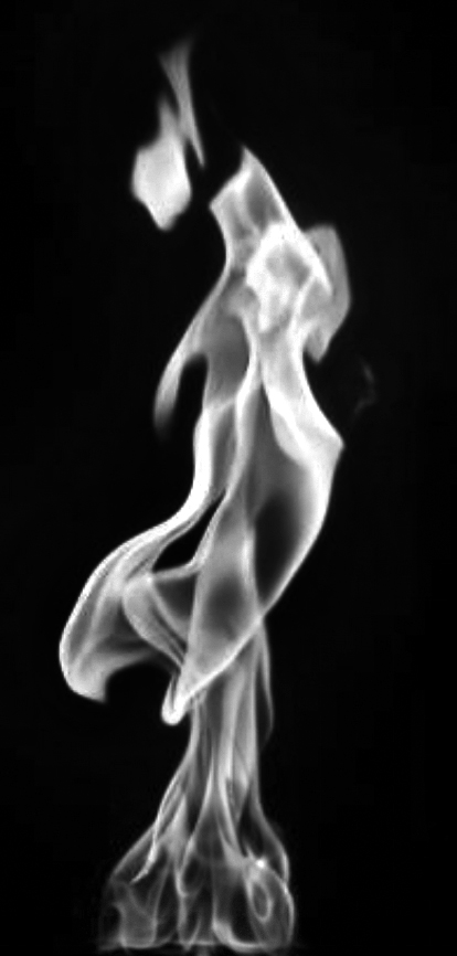 AM97_007_opacity.jpg