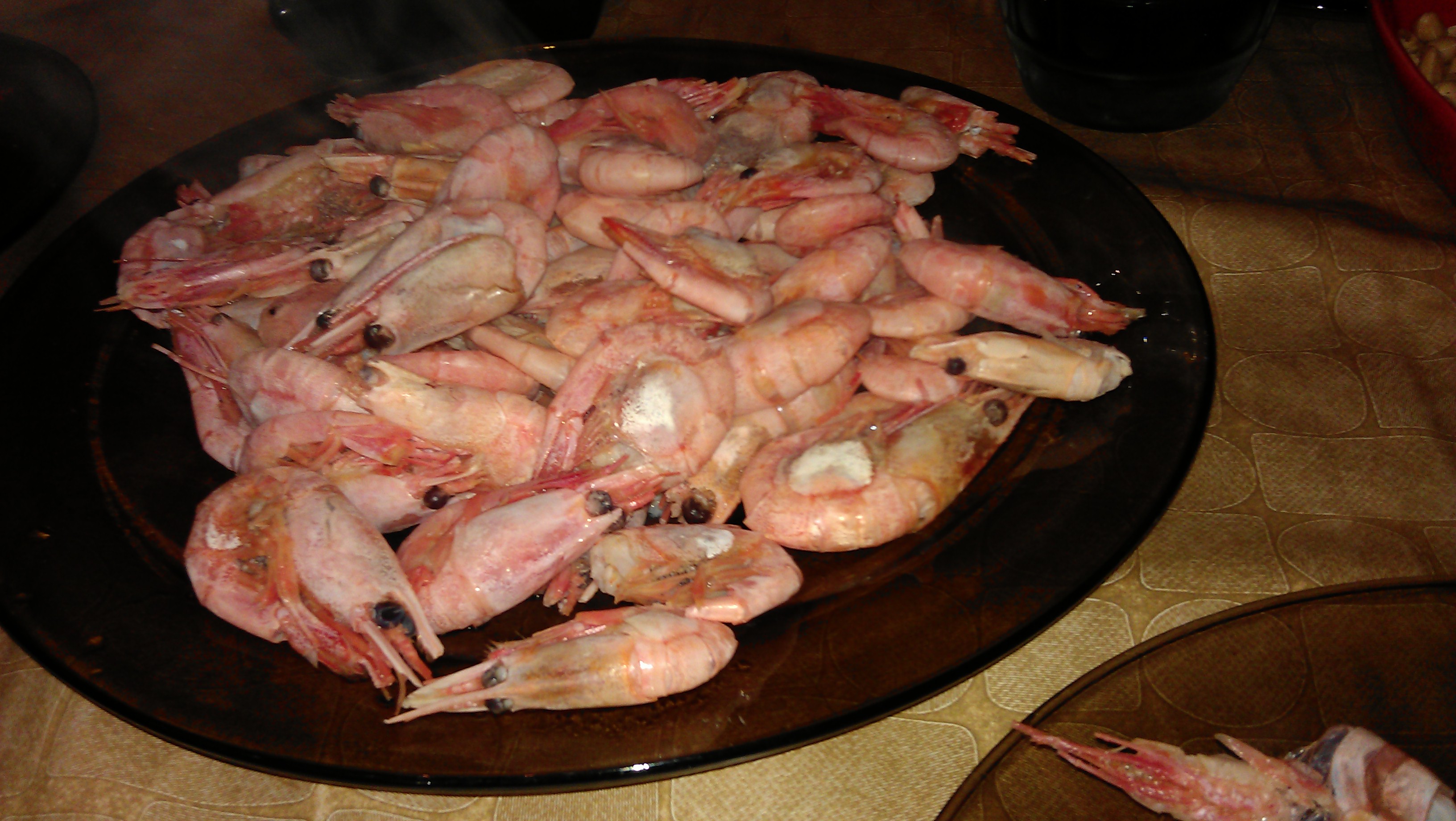 IMAG0021.jpg