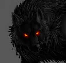 wolf.jpg