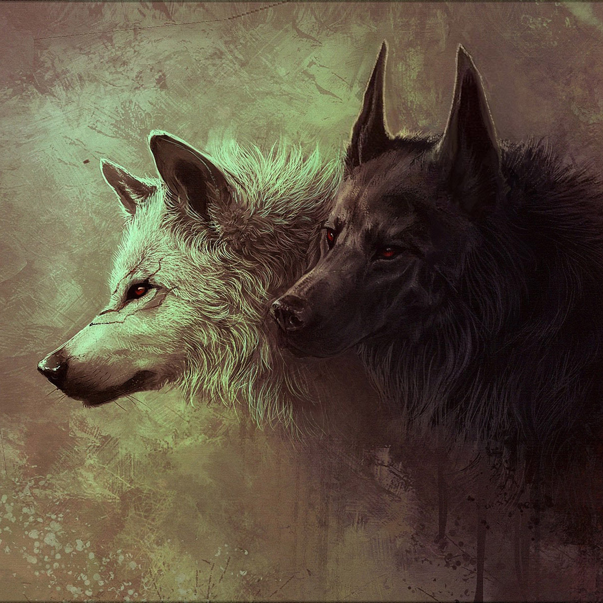 dark_wolf_1920x1200_image.jpg