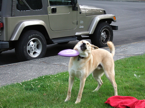 tumblr_nw7w9y4UtS1qa53wno9_1280.jpg