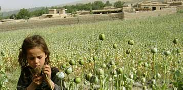 opium_photo.jpg