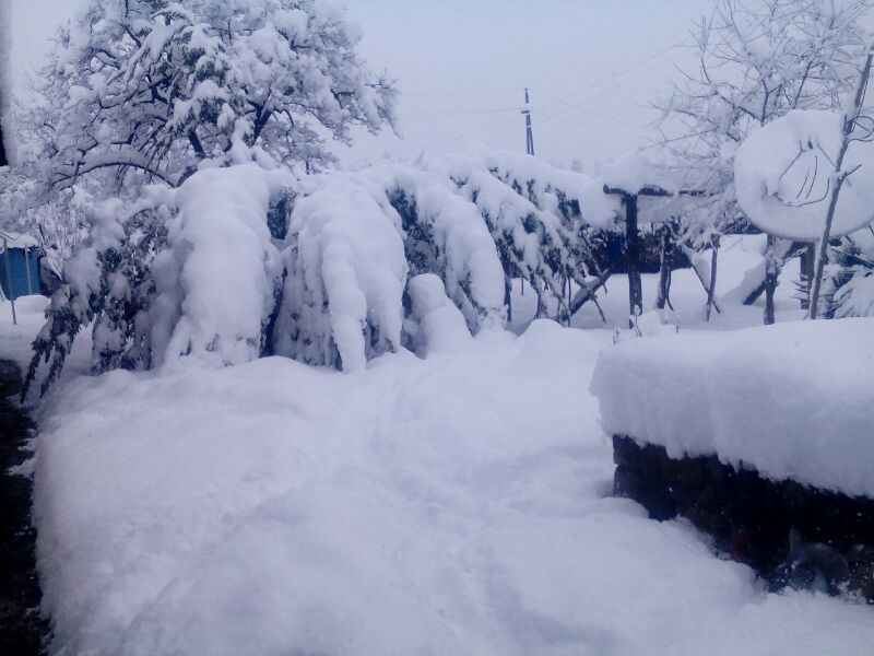 SkypePhoto_20160129_205338.jpg