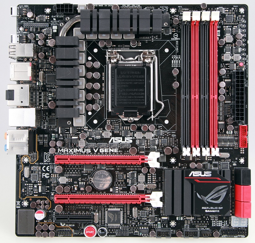 maximus_v_gene_2.jpg