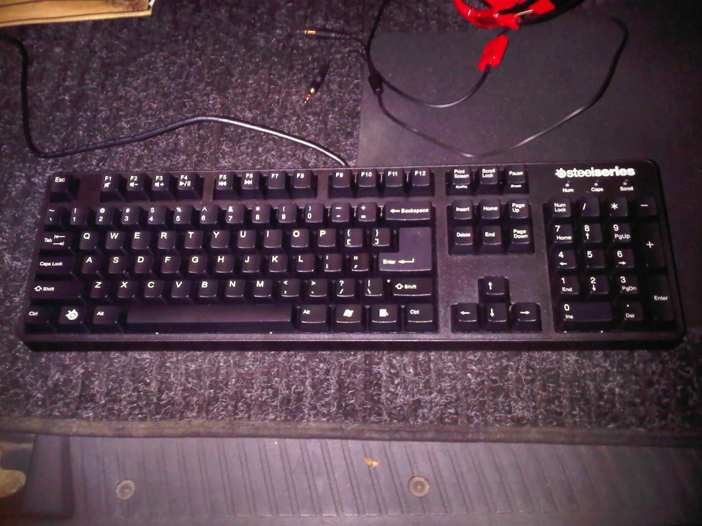IMG00681_20110129_2106.jpg