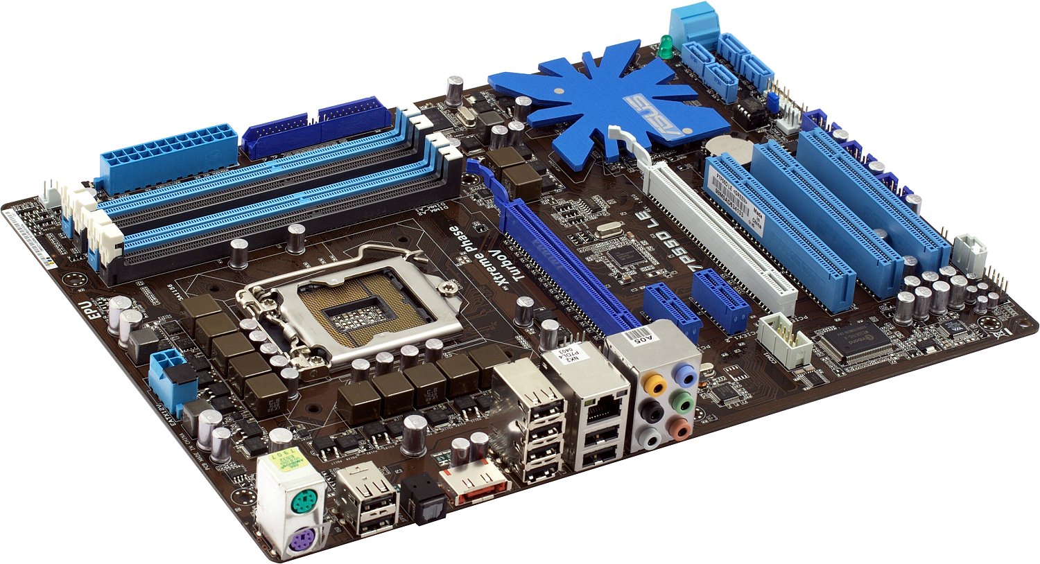 board_rear.jpg