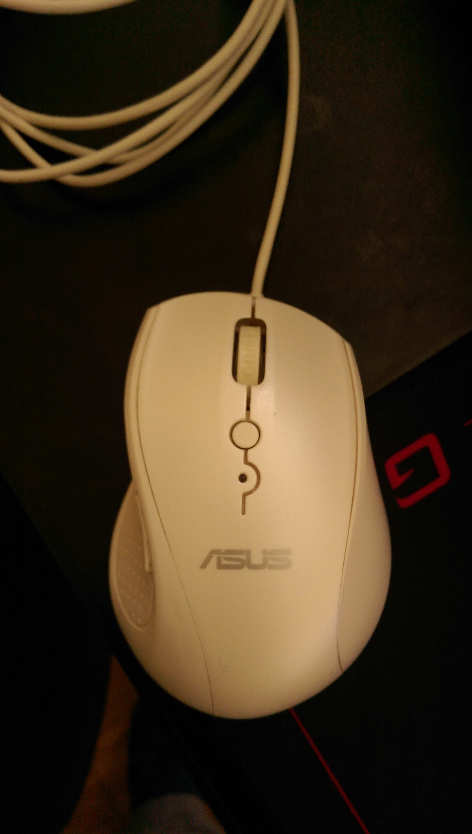 IMAG1627.jpg
