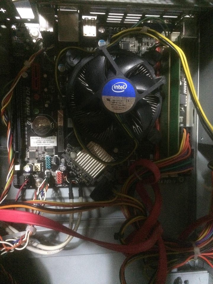 aversii_1155_.jpg