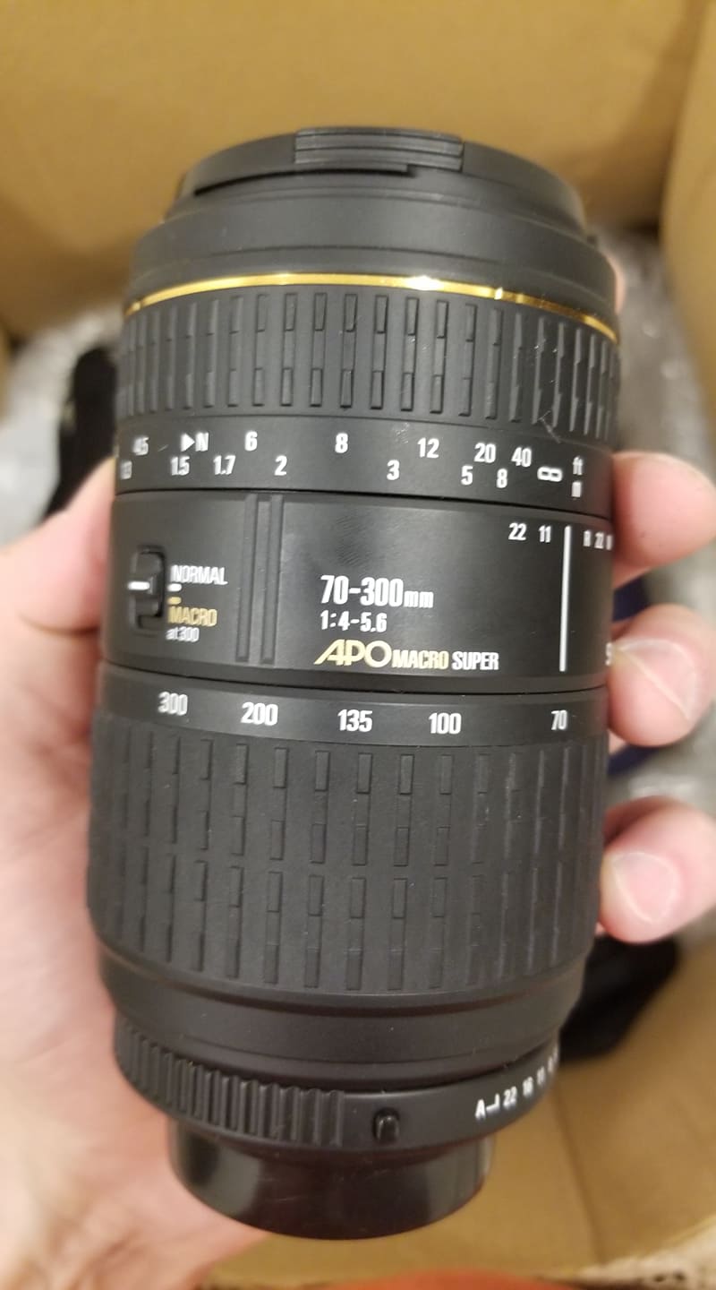 65391249_451469182079131_5187808619365662720_n.jpg