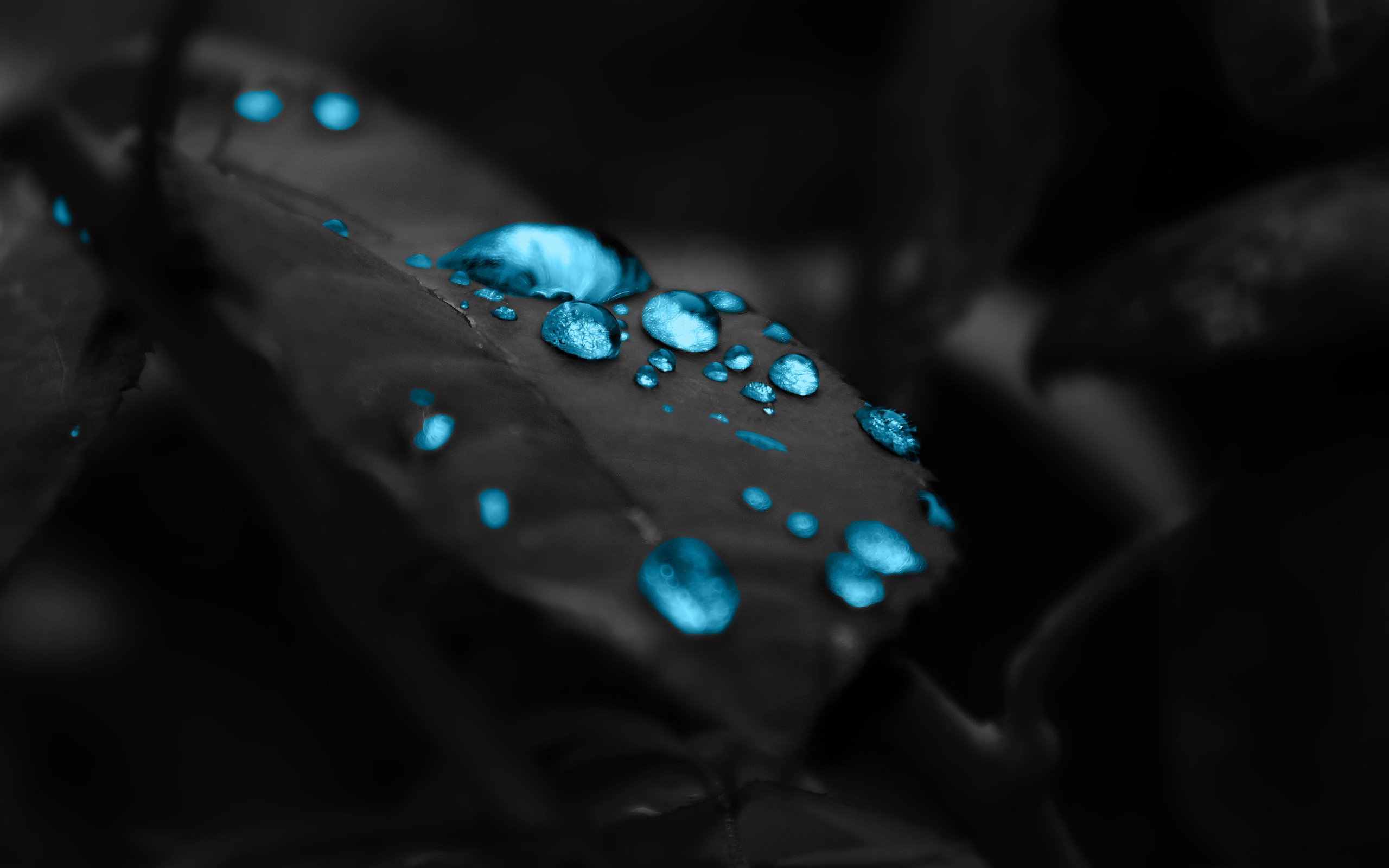 hq_wallpaper_2702995.jpg