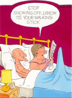 WalkingStick.jpg