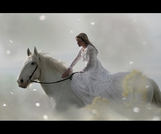 _88_D0_B0_D0_B4_D1_8C_woman_girl_photo_animals_angie56_tags_women_horses_women_random_various_cats_enstantane_goodnite_nature_snow_horses_my_album_wow_large.jpg