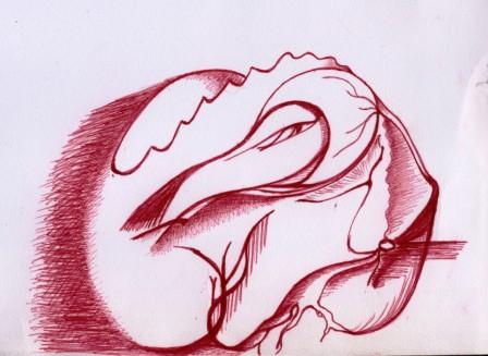 PHOTO1.JPG